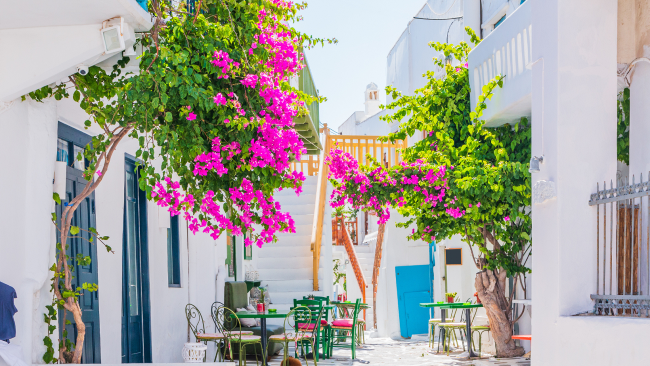 נוף יווני טיפוסי, בניינים לבנים עם דלתות כחולות ופריחה סגולה
