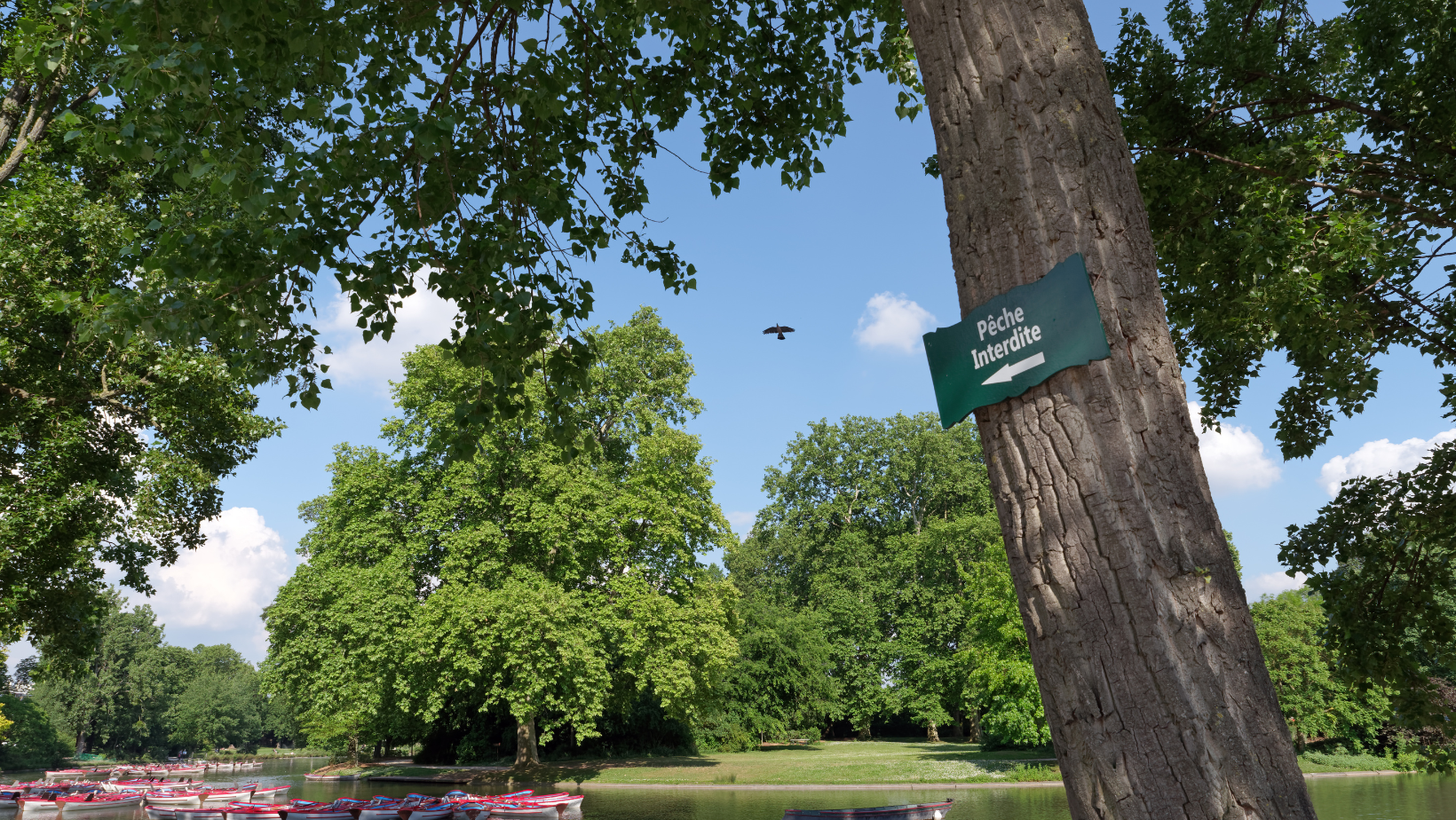 מה לעשות בפריז פארק ירוק עם אגם