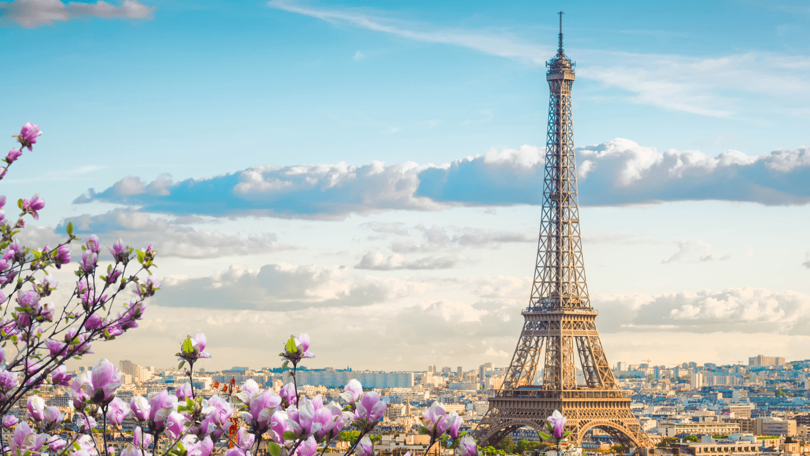 תמונה של מגדל אייפל שצולמה בטיול בפריז